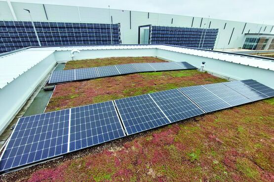 Toiture végétalisée hydroactive avec panneaux PV et gestion des EP | Oasis Bio Solar