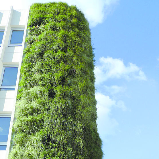 Module de végétalisation pour façades | Modulogreen