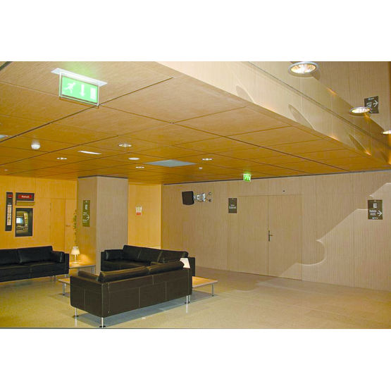 Panneau acoustique perforé à base de bois pour paroi ou plafond | Tavaperf