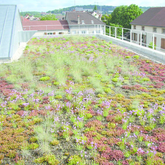 Procédé et systèmes complets de végétalisation de toiture | Solutions multicouches Vegetal i.D.