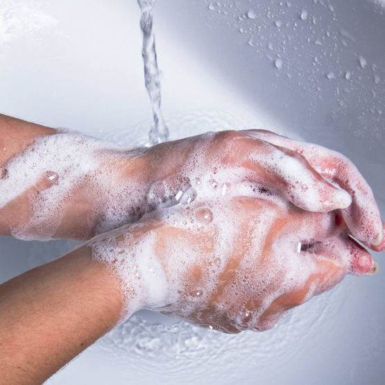  Savon mains concentré liquide | CADENTIA SAVON MAINS CONCENTRÉ - Distributeur à savon ou gel désinfectant