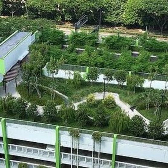 Système de végétalisation pour toiture non accessible | RENOLIT ALKORPLAN Green - produit présenté par RENOLIT ALKORPLAN ROOFING PRODUCTS