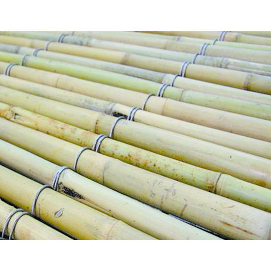 Tissus métallique à tiges de bambou | Native bamboo