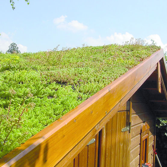 Végétalisation personnalisable pour toitures en pente | Babylone Classique