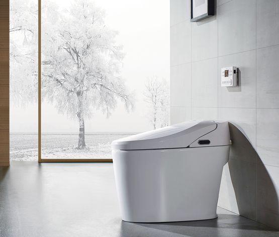 WC Japonais lavant au sol Excellence plus | EXCELPLUS - EAN 3760185790000 - produit présenté par SANICLEAN