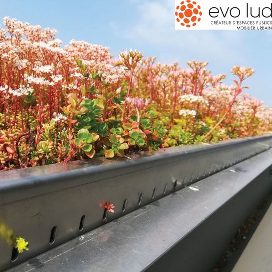  Abribus avec toiture végétalisable | EVO LUD - Abri piéton
