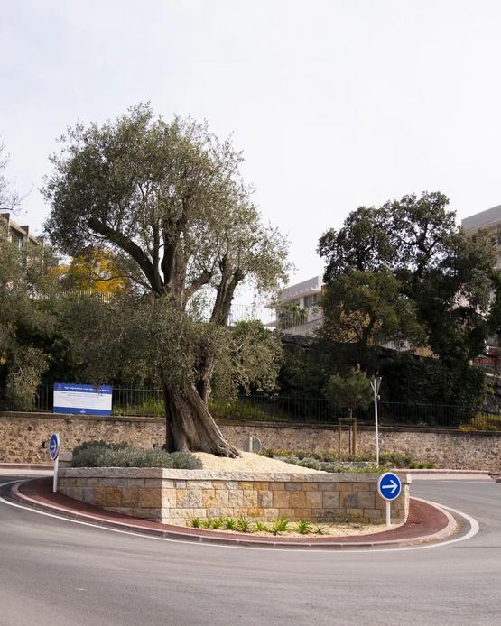  Aménagement paysager avec système MODBLOC - MODBLOC