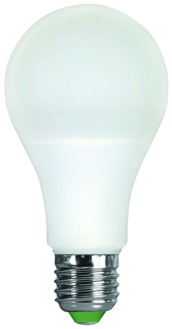 Ampoule standard A60 LED 330° 9W E27 2 700 k 806 Lm | 160115