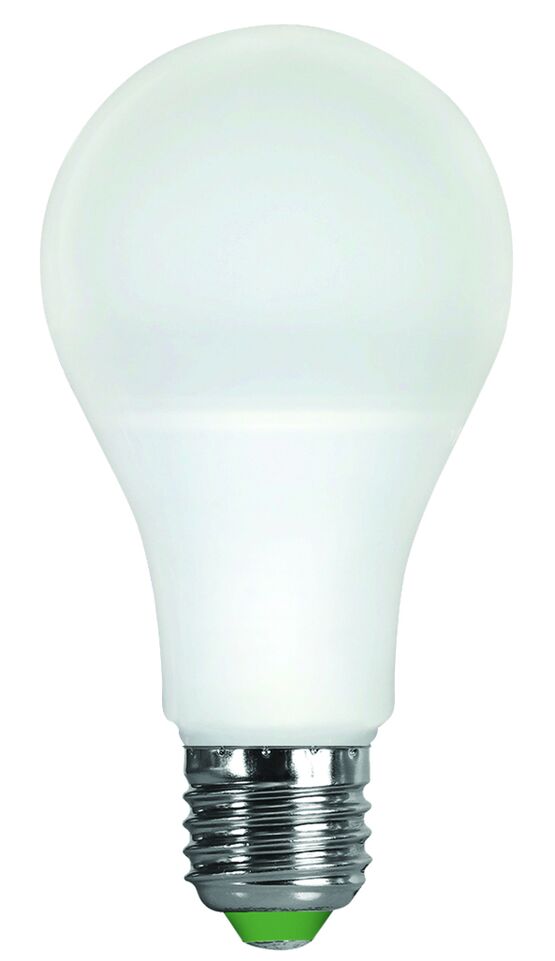 Ampoule standard A65 LED 330° 12W E27 2 700 k 1 000 Lm | 160099