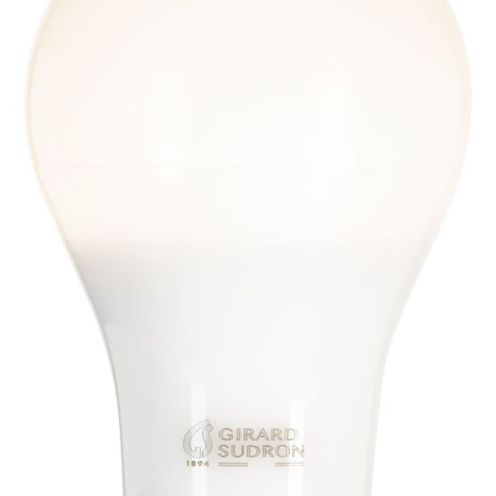  Ampoule standard A65 LED 330° 12W E27 2 700 k 1 000 Lm | 160099 - Ampoules LED