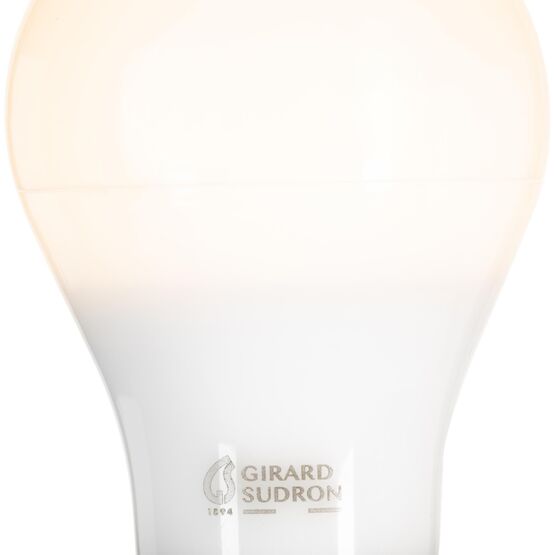 Ampule LED standard A60 330° 9W B22 2 700 k 806 Lm 3125461601928 | 160192 - Ampoules LED