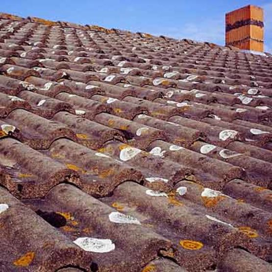  Antimousse concentré pour le nettoyage et la désinfection des surfaces | INOVnet - SODIF