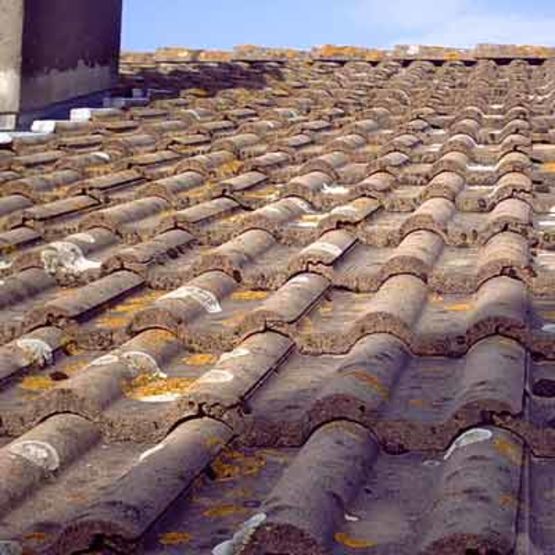 Antimousse concentré pour le nettoyage et la désinfection des surfaces | INOVnet - produit présenté par SODIF