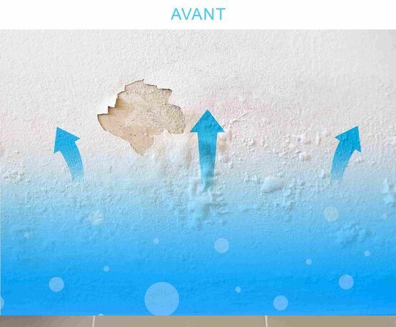 Appareil d’assèchement des murs – Inverseur de polarité électromagnétique IPE contre l’humidité ATE LC15 blanc - produit présenté par HUMIDITÉ CONSEIL