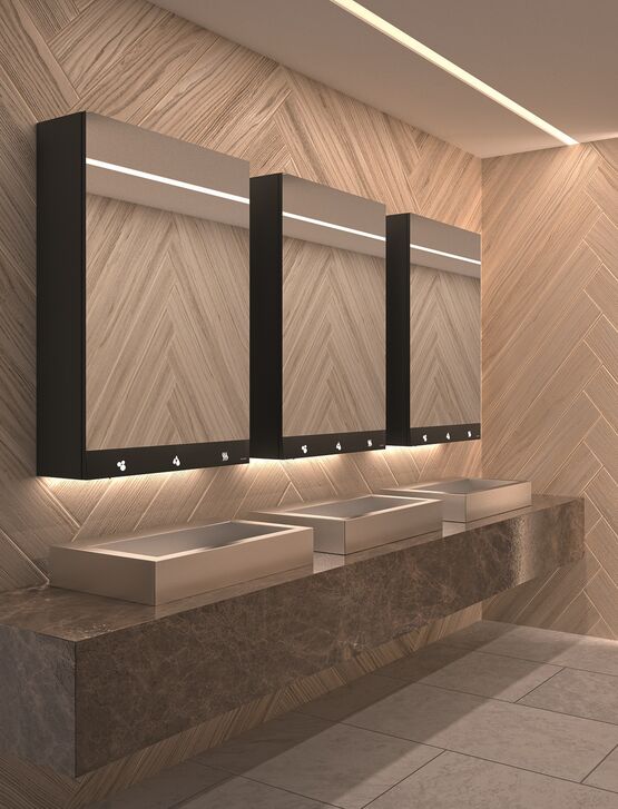  Armoire miroir 4 fonctions : Miroir, sèche-mains, distributeur de savon et robinet automatiques | Réf. 510203  - DELABIE