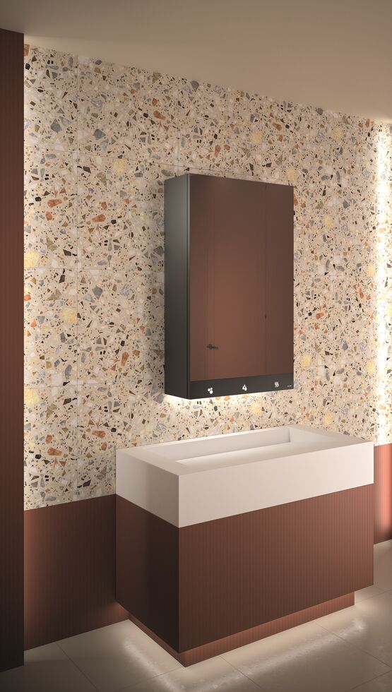 Armoire miroir 4 fonctions : Miroir, sèche-mains, distributeur de savon et robinet automatiques | Réf. 510203  - produit présenté par DELABIE