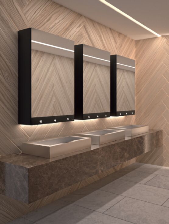 Armoire miroir avec sèche-mains, distributeur de savon et robinet automatiques - produit présenté par DELABIE