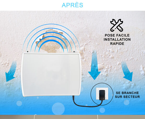 Assèchement des murs IPE avec l'appareil ATE LC30 – Lutte efficace contre l'humidité par inversion de polarité