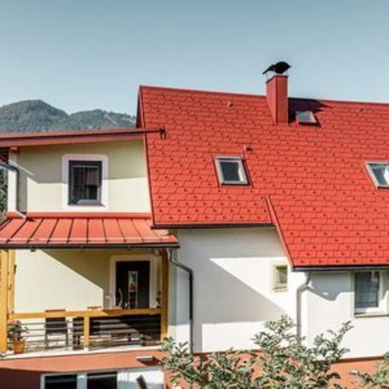 Bardeau moderne au format généreux pour les toitures | Bardeau de toiture DS.19