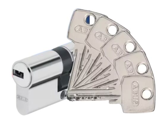  Barillet D6 Abus 40 x 40 mm | LAPEYRE SERVICES - LAPEYRE SERVICES
