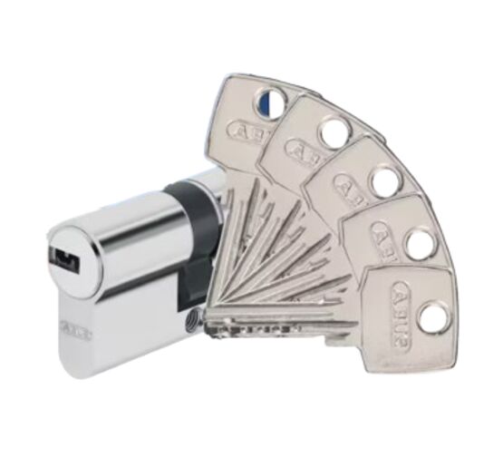  Barillet de serrure | D6 ABUS 35 x 35 mm en laiton nickelé - LAPEYRE SERVICES