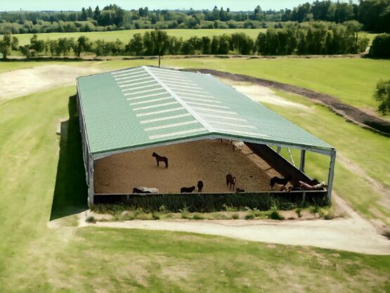  Bâtiment acier galvanisé, idéal activités équestres - 20,6x48x5m - Autres constructions modulaires préfabriqués