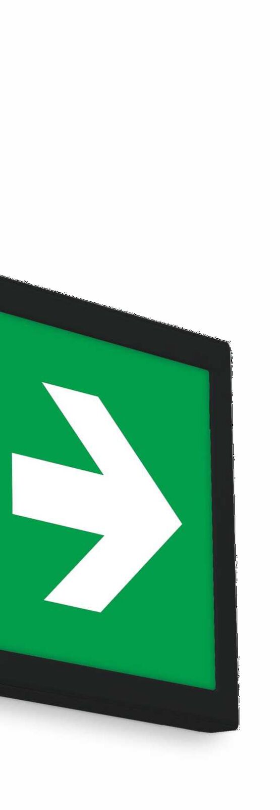  Bloc de secours évacuation pour sécurité incendie  | BT-BAES-E1S  - SERVIACOM-PROACCESS