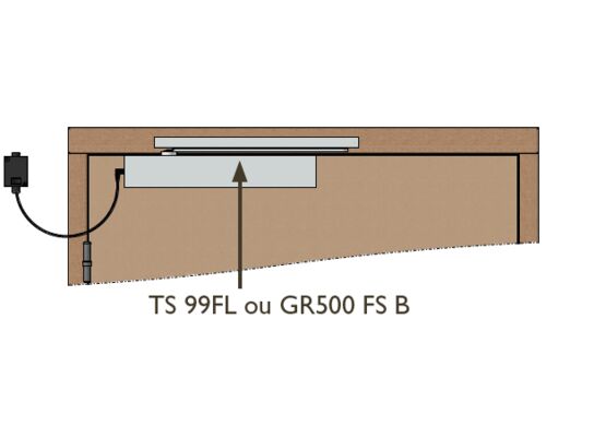  Bloc-porte DAS avec ferme-porte débrayable I POLYFEU - Portes CF REI 30/60