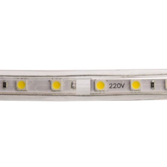 Bobine LED 220V 5050 blanc neutre 50 m | SMD5050  - produit présenté par LED LIGHTING FRANCE