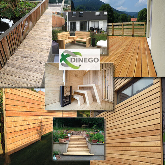  Bois de mélèze pour les projets complexe | Dinego - DINEGO SARL