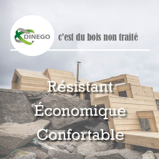 Bois de mélèze pour les projets complexe | Dinego - produit présenté par DINEGO SARL