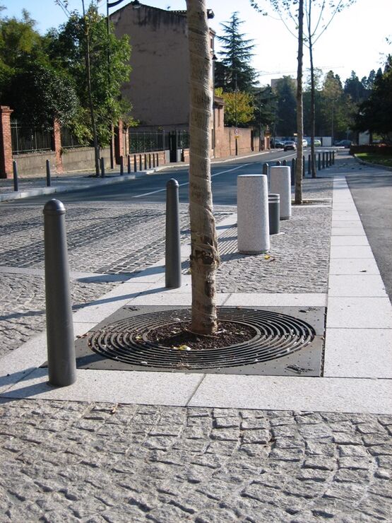  Borne-Potelet AMSTERDAMUS - NORCOR