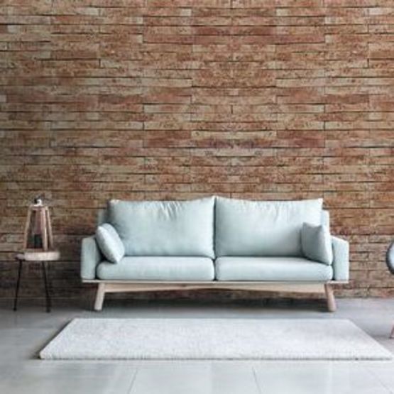  Brique brut de four | FAP20BL454090-CODE - Briques pleines