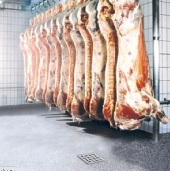  Caniveaux et siphons pour boucherie | BLÜCHER®  - Caniveaux à grille fentes ou lames