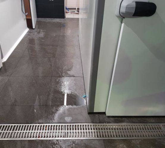  Caniveaux et siphons pour poissonnerie | BLÜCHER®  - Caniveaux à grille fentes ou lames