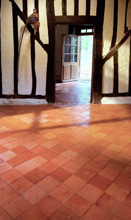 Carreaux de sols en terre cuite | Genus - produit présenté par RAIRIES MONTRIEUX