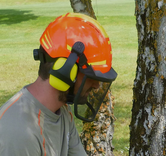  Casque à double calotte absorbant les chocs | Forest Ranger - INFIELD SAFETY