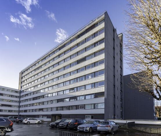  Cheville à frapper à clou plastique, non traversante | StarTrack Red    - BAUMIT