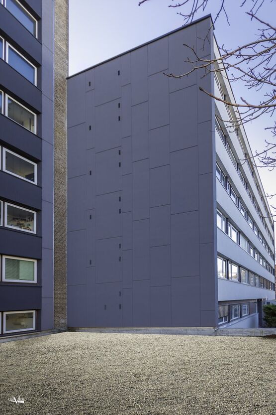  Cheville à frapper à clou plastique, non traversante | StarTrack Red    - Chevilles