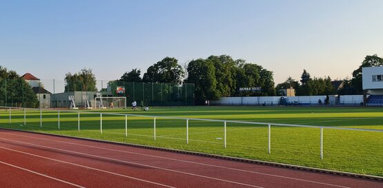  Clôture sportive I Main courante classique - EUROFENCE