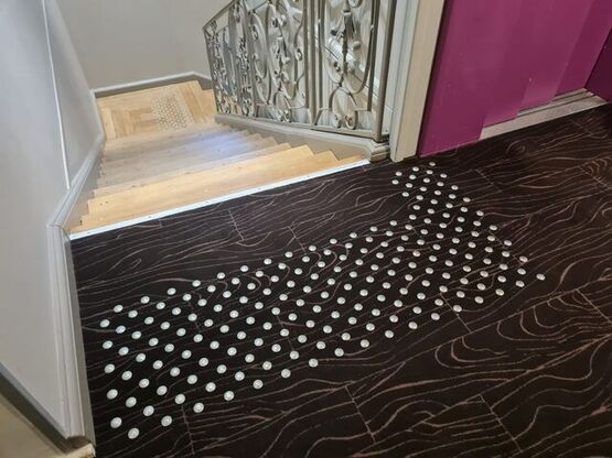  CLOUS PODOTACTILES INOX 304 TETE LISSE A SCELLER TETE D.25 KIT DE 200 | WATTELEZ  - WATTELEZ