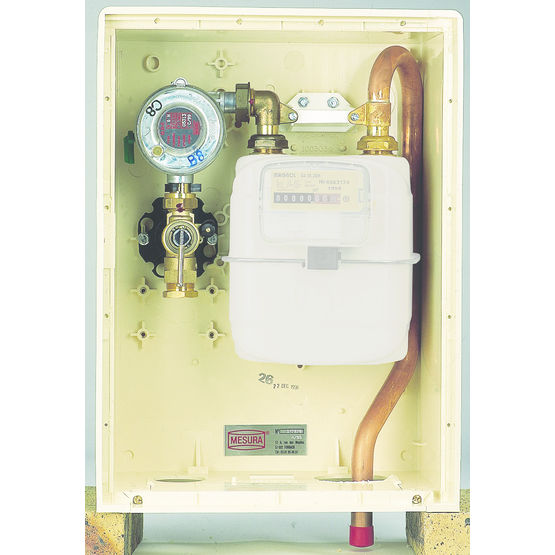 Coffret de distribution en réseau pour gaz propane | Comptage S2300