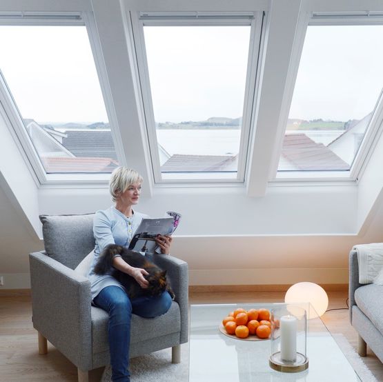 Fenêtre Tout Confort : Fenêtre de toit Velux avec système anti-bruit de  pluie – batiproduits