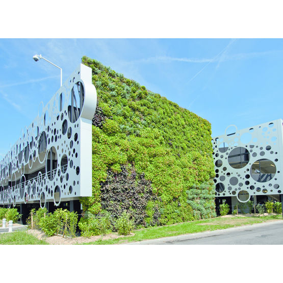 Conception et entretien de façades végétales durables | Le Programme Vertipack Fiabilis