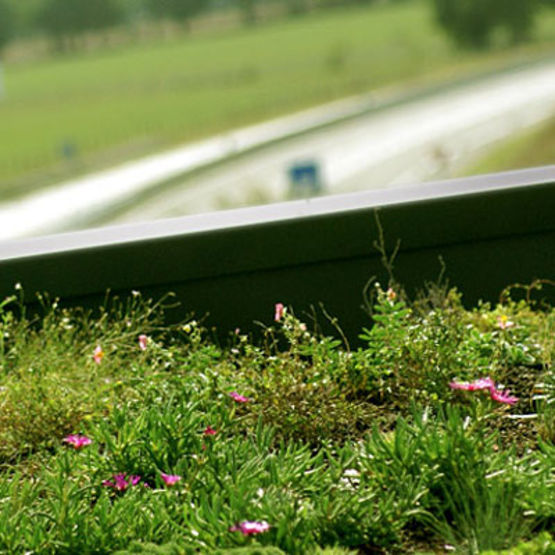  Covertiss Modulo Toiture végétale - NOVINTISS