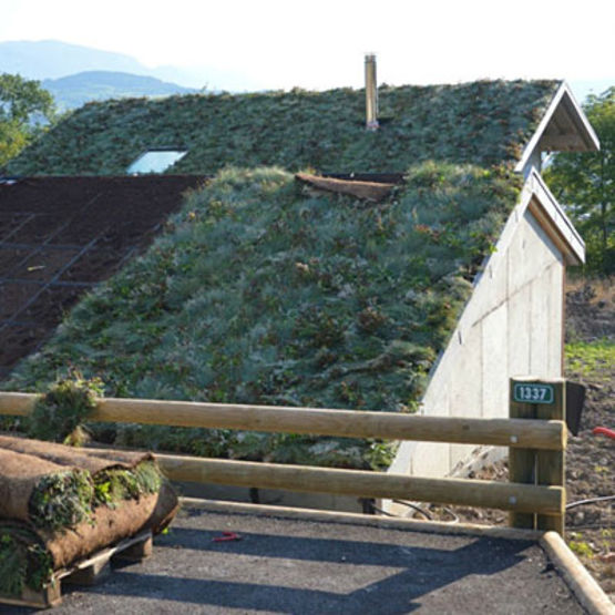  Covertiss Modulo Toiture végétale - Végétalisation pour toitures en pente