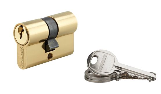 Cylindre à clé crantée 20 x 20 mm laitonné 3 clés