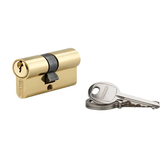 Cylindre à clé crantée 25 x 25 mm laitonné 3 clés