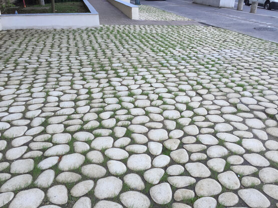 Dallage en forme de galets plats en béton pressé | Durance - Dalles d'engazonnement