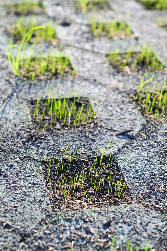 Dalle alvéolaire en béton pour engazonnement et drainage de voirie | Claustrapark - produit présenté par EDYCEM PPL (HERIGE)